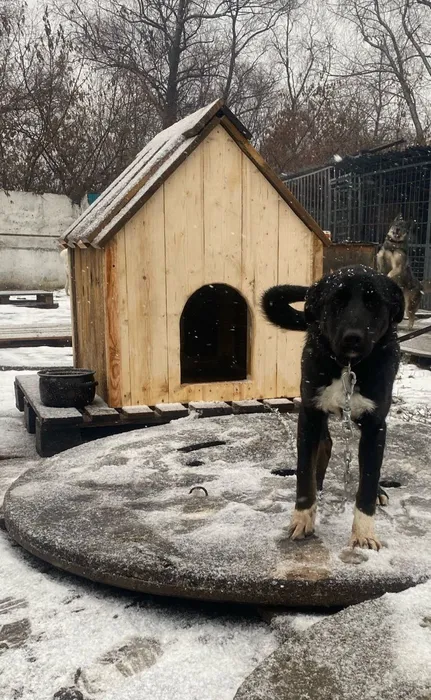 Фото участников мероприятия